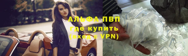 PSILOCYBIN Балабаново