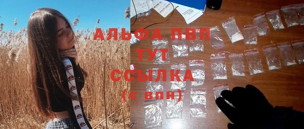 PSILOCYBIN Балабаново