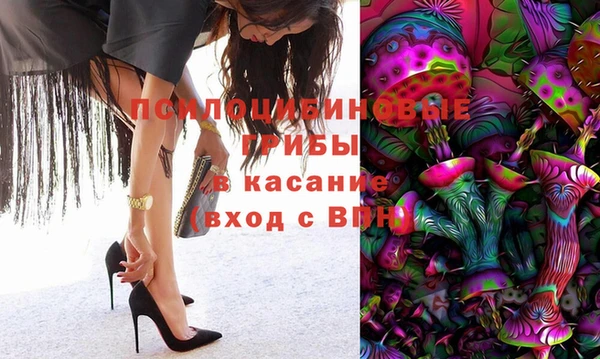 PSILOCYBIN Балабаново