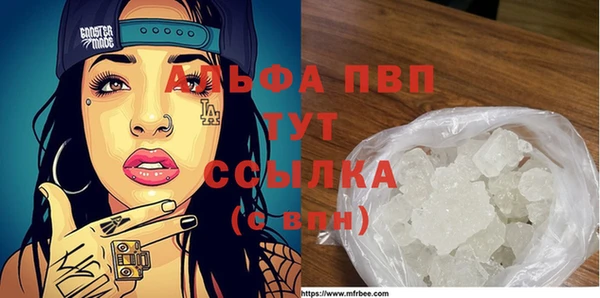 PSILOCYBIN Балабаново