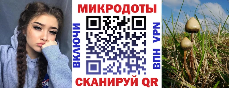Псилоцибиновые грибы прущие грибы  Нижний Тагил 